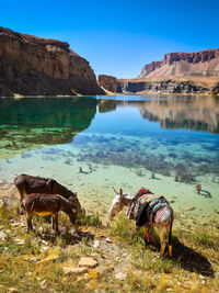 Band-e amir bamyan, in many different sessions