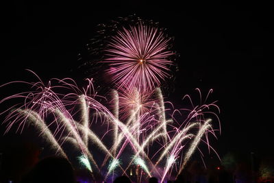 Low angle view of firework display at night