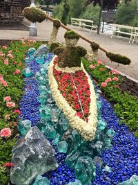 High angle view of flowers in water