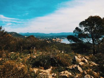 Scenic view of landscape against sky