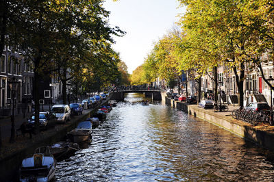 Canal along trees