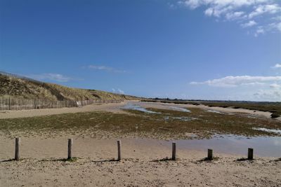 Scenic view of beach against blue sky