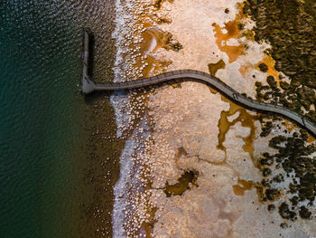 High angle view of snake on wet shore