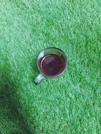 High angle view of drink on grass