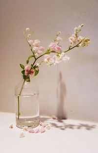 Close-up of flowers in vase on table