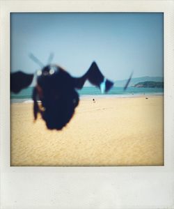 Close-up of insect on beach