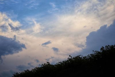 Low angle view of tree against sky