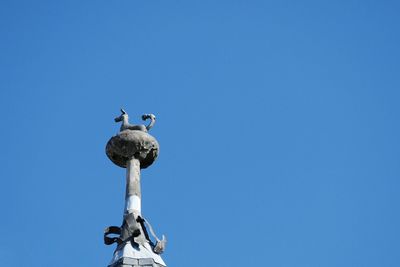 Low angle view of bird perching on statue against clear blue sky