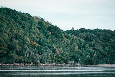 Scenic view of lake by trees against sky