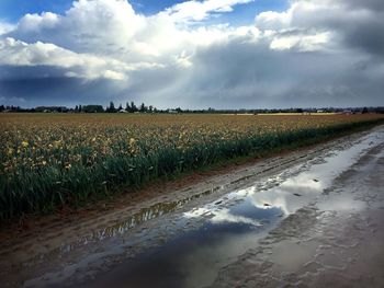 Scenic view of field against cloudy sky