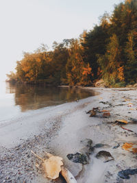 Scenic view of autumn trees by lake against sky