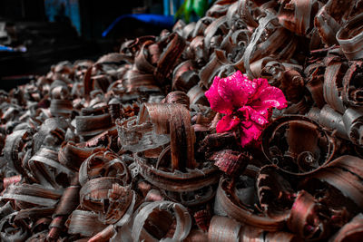 Close-up of flowering plants in market