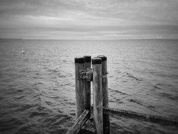 Wooden posts on sea against sky