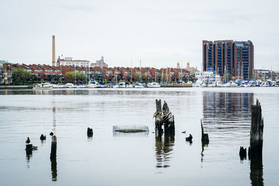 Scenic view of lake and buildings against sky