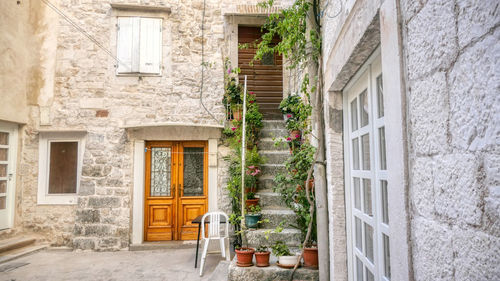 Plants growing outside building in trogir