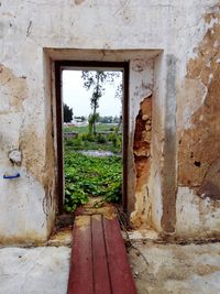 Close-up of abandoned house