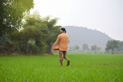 Indian farmer spreading fertilizer in the wheat field