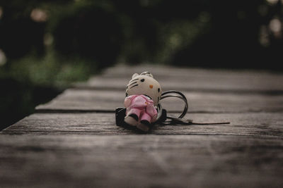 Close-up of pink toy on table by footpath