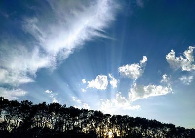 Low angle view of trees against blue sky