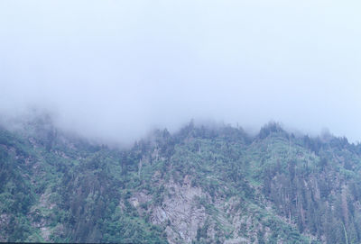 Scenic view of trees and mountains against sky