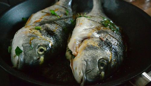 Close-up of food