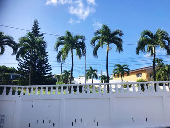 Low angle view of palm trees by swimming pool against sky