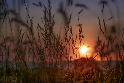Scenic view of sunset