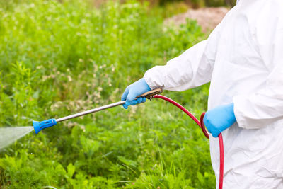 Worker in protective work wear spraying herbicide on ragweed