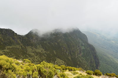 The foggy landscapes in the aberdare ranges on the flanks of mount kenya