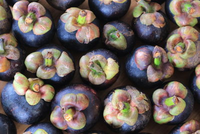 Full frame shot of fruits