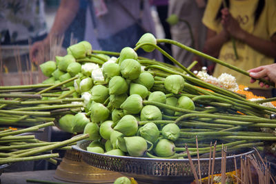 Lotus flowers for buddha offers