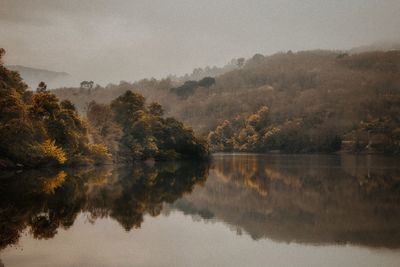 Reflection of trees in lake against sky