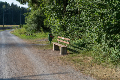 Empty road amidst trees in city