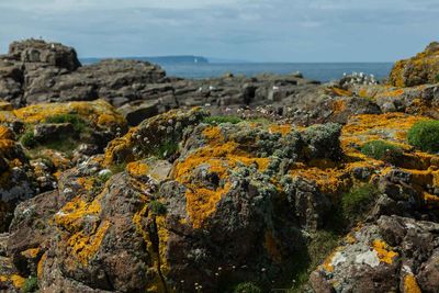 Scenic view of sea and rock formations against sky