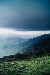 Scenic view of landscape against sky