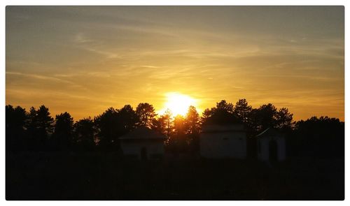 Silhouette trees and buildings against sky during sunset