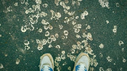 Low section of person wearing shoes on ground