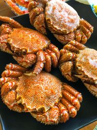 Crabs in plate