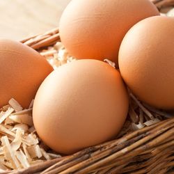 Close-up of eggs in container