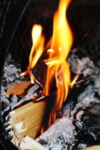 Close-up of bonfire at night