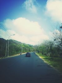 Road passing through trees