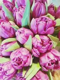 Full frame shot of pink flowers