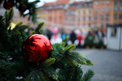 Holiday celebration christmas tree christmas tree