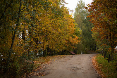 Road amidst trees in forest