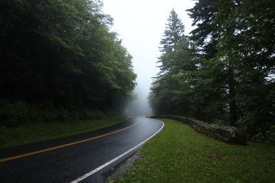 Empty road amidst trees against sky