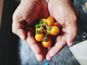 Close-up of hand holding tomato