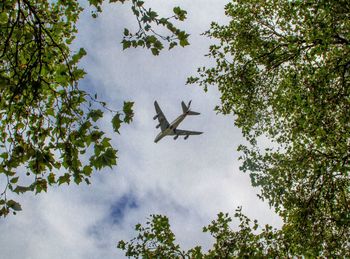 Low angle view of airplane flying in sky