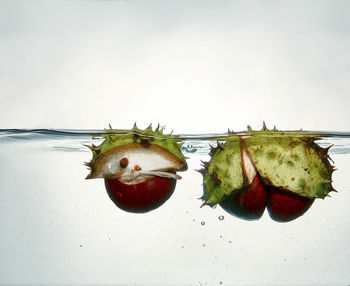 Close-up of fruits against white background