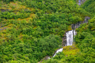 Scenic view of waterfall in forest in mountains 