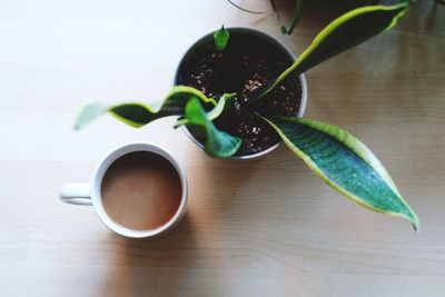 High angle view of coffee on table